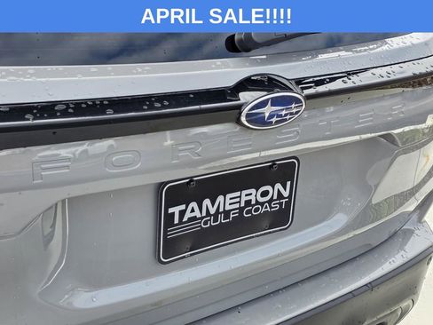 Used 2025 Subaru Forester Limited image 34