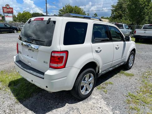 Used 2011 Ford Escape Limited w/ 302A Rapid Spec Order Code image 5