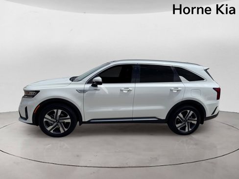 Certified 2022 Kia Sorento EX w/ Panoramic Sunroof Package AWD/4WD image 6