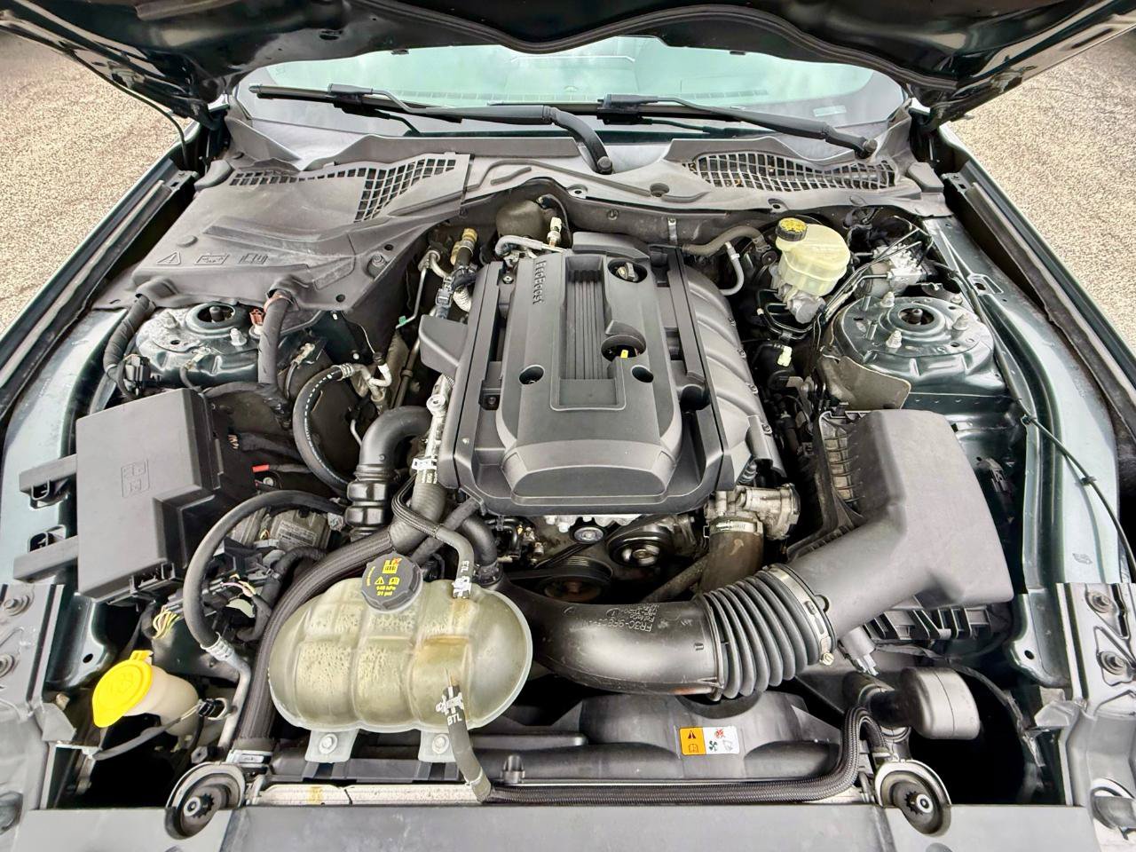 Used 2015 Ford Mustang Premium RWD image 35