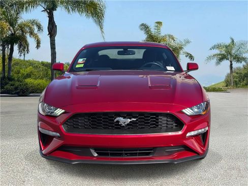 Used 2019 Ford Mustang Coupe w/ Equipment Group 101A image 3