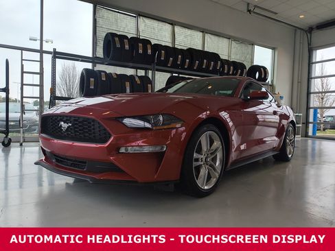 Used 2021 Ford Mustang Premium w/ Equipment Group 201A image 2