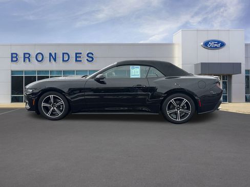 Used 2025 Ford Mustang Premium image 1