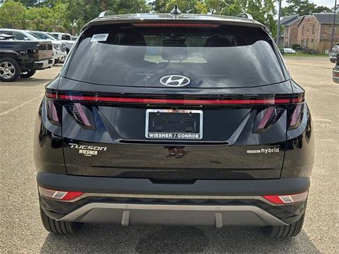 New 2024 Hyundai Tucson Limited image 5