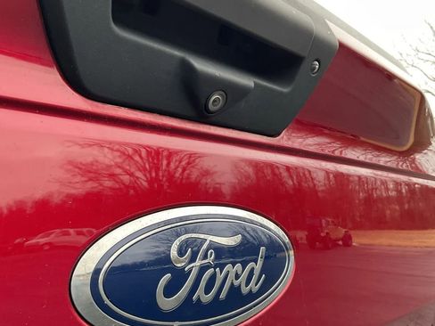 Used 2019 Ford F150 XLT w/ Equipment Group 302A Luxury image 15