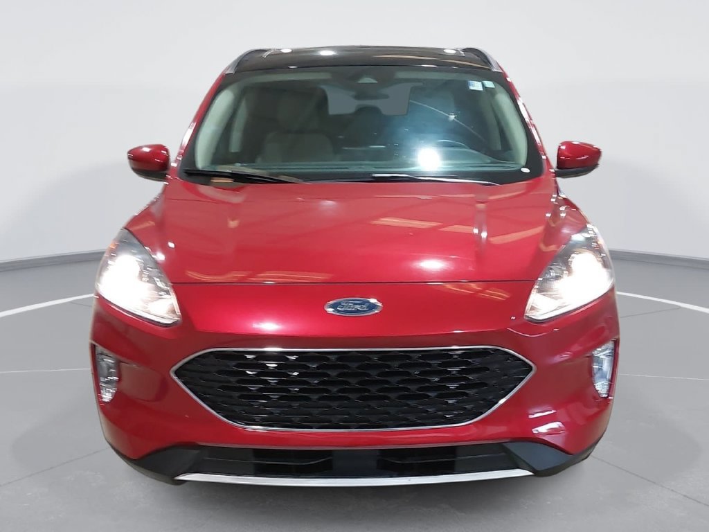 Used 2020 Ford Escape SEL FWD image 2