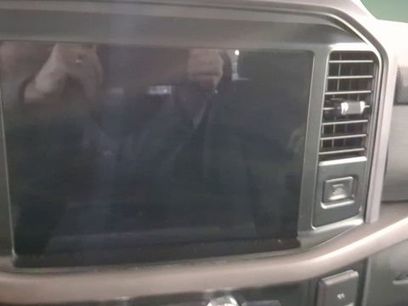 Used 2025 Ford F150 XLT w/ Equipment Group 301A Standard