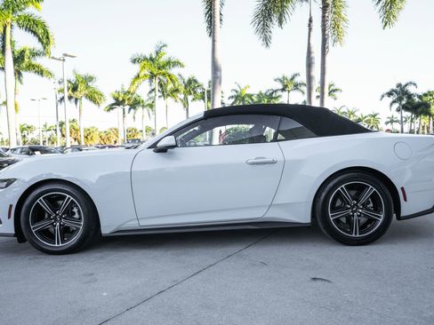 Used 2024 Ford Mustang EcoBoost image 23