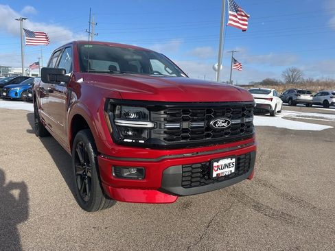 New 2025 Ford F150 STX w/ LOBO Package image 13
