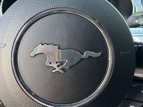 Used 2023 Ford Mustang GT w/ Equipment Group 301A image 25