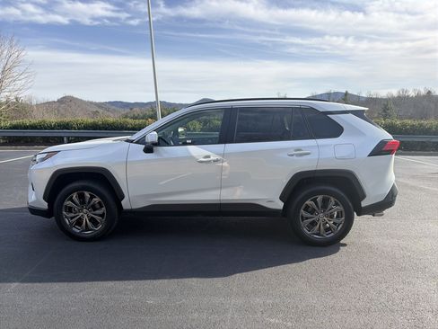 Certified 2023 Toyota RAV4 XLE Premium image 7