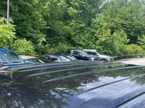 Used 2019 Ford F150 XLT w/ Equipment Group 302A Luxury AWD/4WD image 11