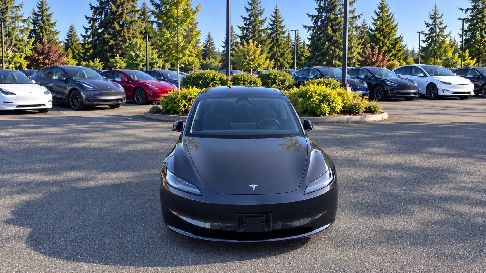 Used 2025 Tesla Model 3 Long Range RWD image 2