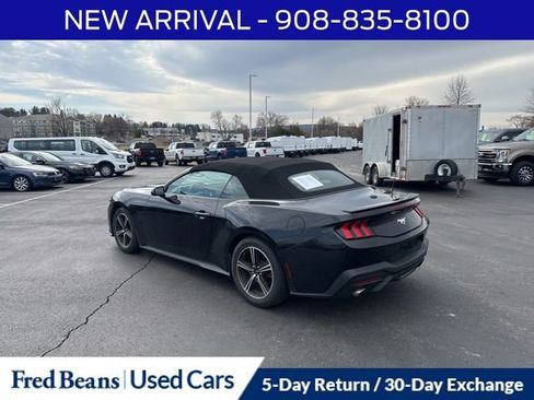Used 2024 Ford Mustang Premium image 6