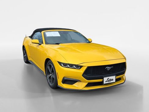Used 2024 Ford Mustang Premium image 2