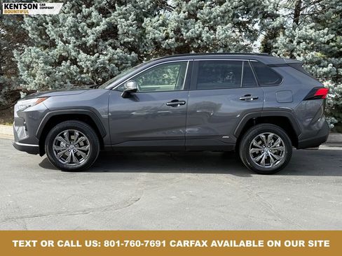 Used 2025 Toyota RAV4 XLE Premium image 4