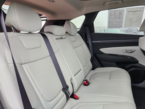 Certified 2024 Hyundai Tucson Limited image 15