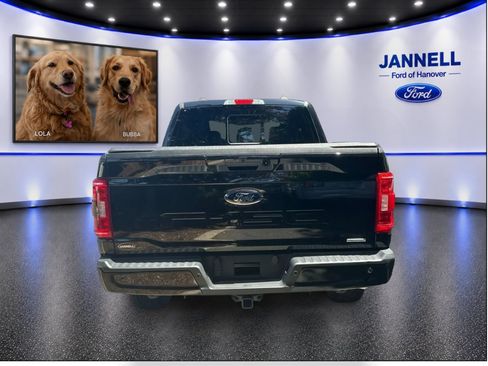 Used 2023 Ford F150 XLT w/ Equipment Group 302A High AWD/4WD image 7