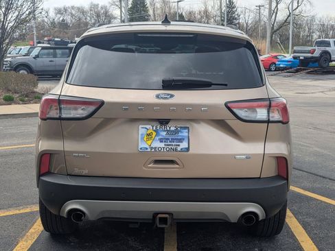 Used 2020 Ford Escape SEL AWD/4WD image 4