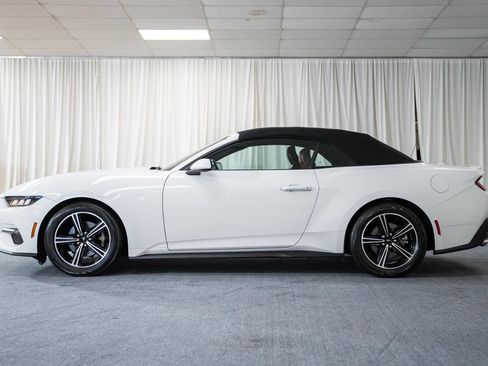 Used 2024 Ford Mustang Premium RWD image 4