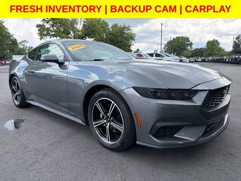 Used 2025 Ford Mustang Coupe RWD image 1