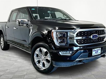 Used 2023 Ford F150 Platinum w/ Equipment Group 701A High