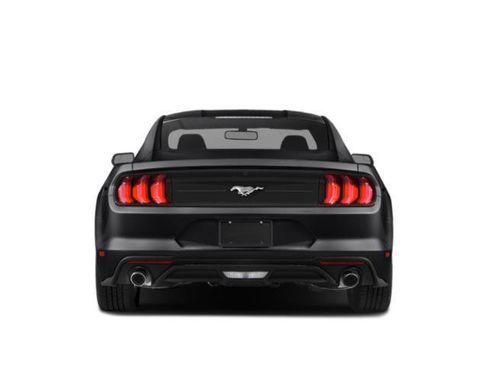 Used 2019 Ford Mustang Premium w/ Black Accent Package RWD image 8