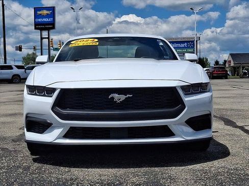Used 2024 Ford Mustang Premium RWD image 3