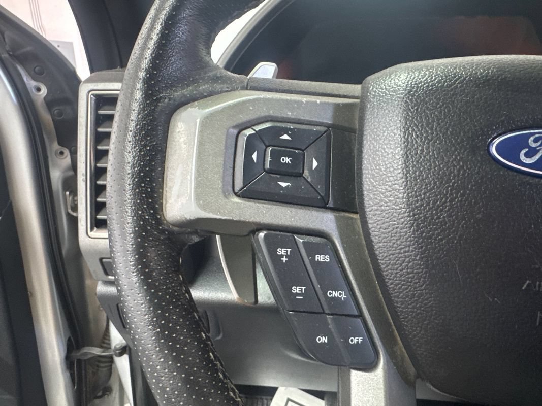 Used 2017 Ford F150 Raptor w/ Equipment Group 802A Luxury AWD/4WD image 14