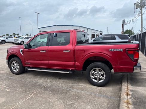 Used 2024 Ford F150 XLT w/ Equipment Group 302A MID AWD/4WD image 7