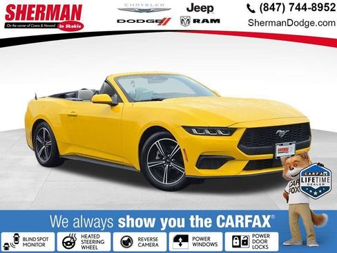 Used 2024 Ford Mustang Premium image 1