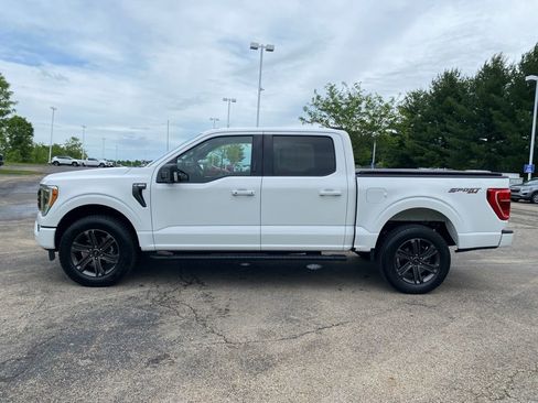 Used 2023 Ford F150 XLT w/ Equipment Group 302A High AWD/4WD image 6