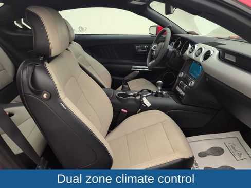 Used 2016 Ford Mustang Premium w/ Equipment Group 201A image 13