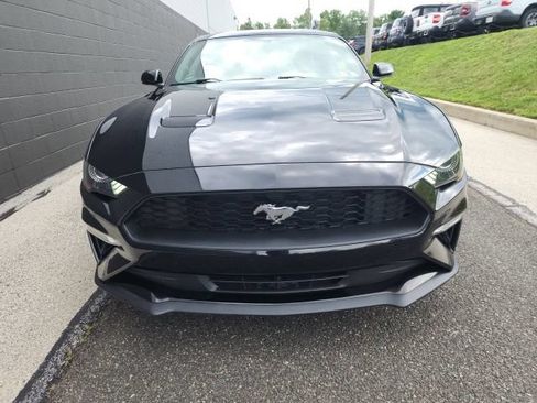 Certified 2019 Ford Mustang Premium RWD image 2