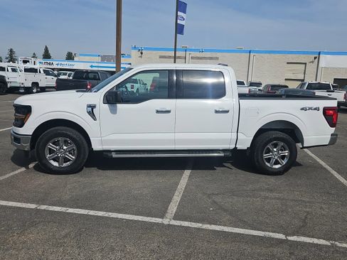 Used 2025 Ford F150 XLT w/ Equipment Group 301A Standard image 5