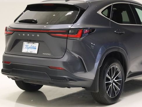 Used 2024 Lexus NX 250 FWD w/ Cold Area Package image 6