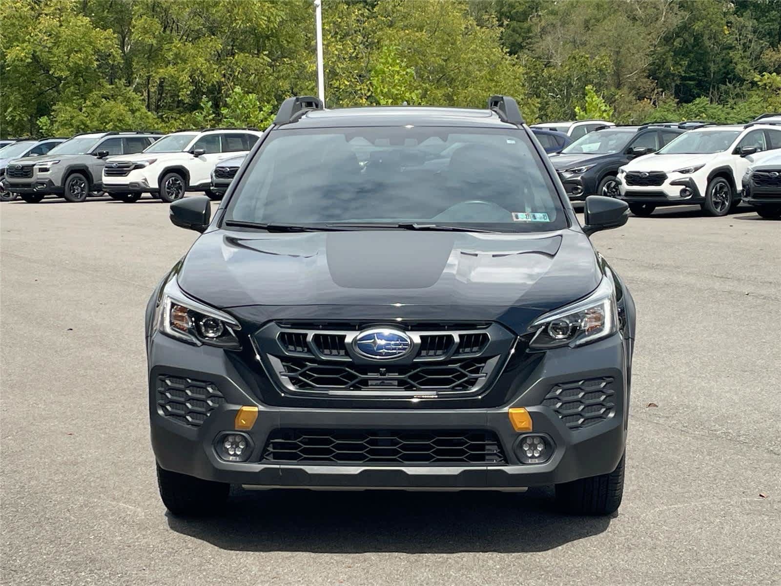 Used 2024 Subaru Outback Wilderness AWD/4WD image 8