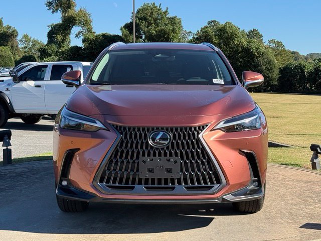 Used 2025 Lexus NX 350h AWD w/ Cold Area Package image 2