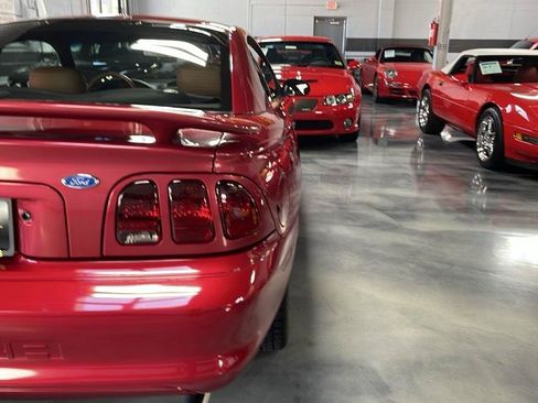 Used 1996 Ford Mustang Cobra RWD image 11