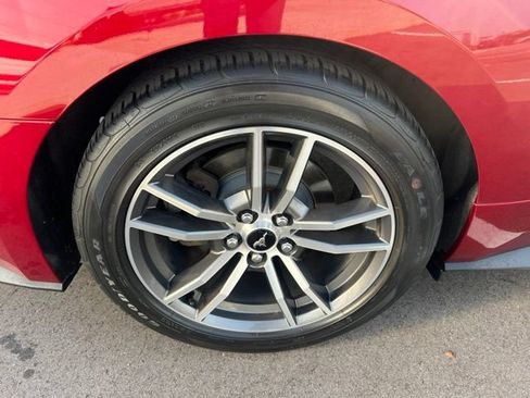 Used 2016 Ford Mustang Premium w/ Equipment Group 201A RWD image 9