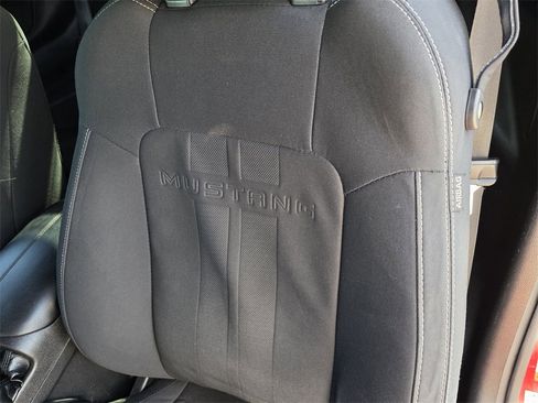 Used 2019 Ford Mustang GT w/ Equipment Group 301A image 13