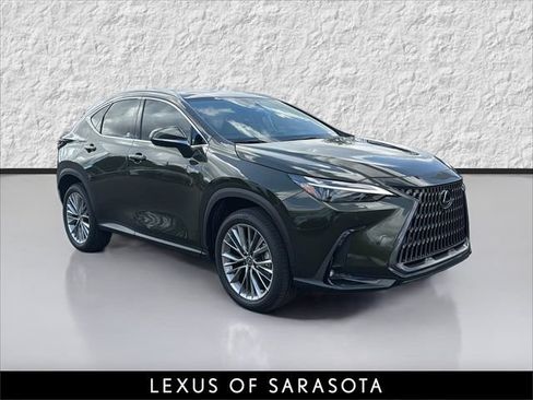 New 2026 Lexus NX 350 AWD w/ Cold Area Package image 1