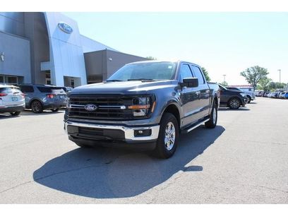 Used 2025 Ford F150 XLT w/ Equipment Group 301A Standard
