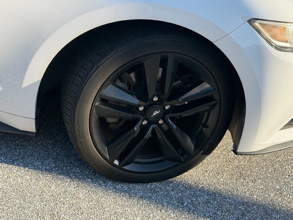 Used 2017 Ford Mustang Premium RWD image 10