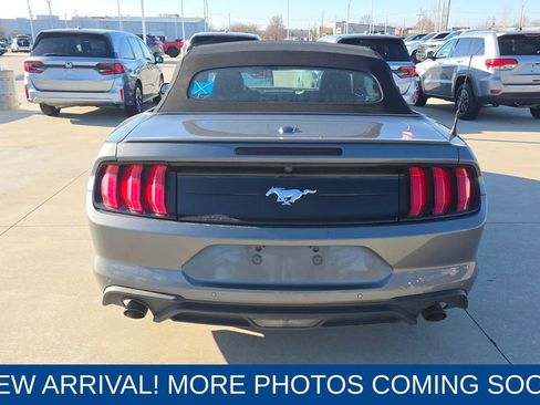 Used 2023 Ford Mustang Premium image 4