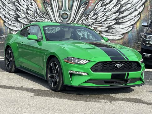 Used 2019 Ford Mustang Coupe RWD image 1