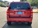 Used 2010 Ford Escape XLT image 4