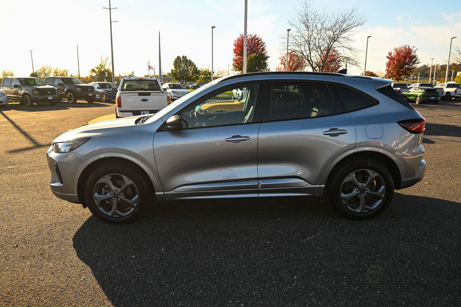 Used 2024 Ford Escape ST-Line w/ Tech Pack #1 AWD/4WD image 8