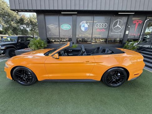 Used 2018 Ford Mustang Premium w/ Equipment Group 201A RWD image 7