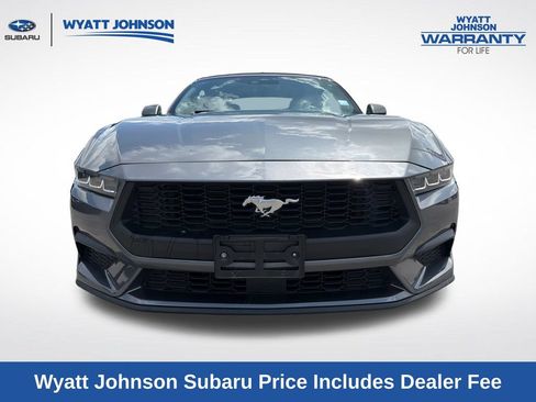 Used 2024 Ford Mustang Premium RWD image 12
